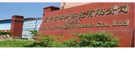 Meet Linxingpinechem: A Leading Pine Chemical Manufacturer